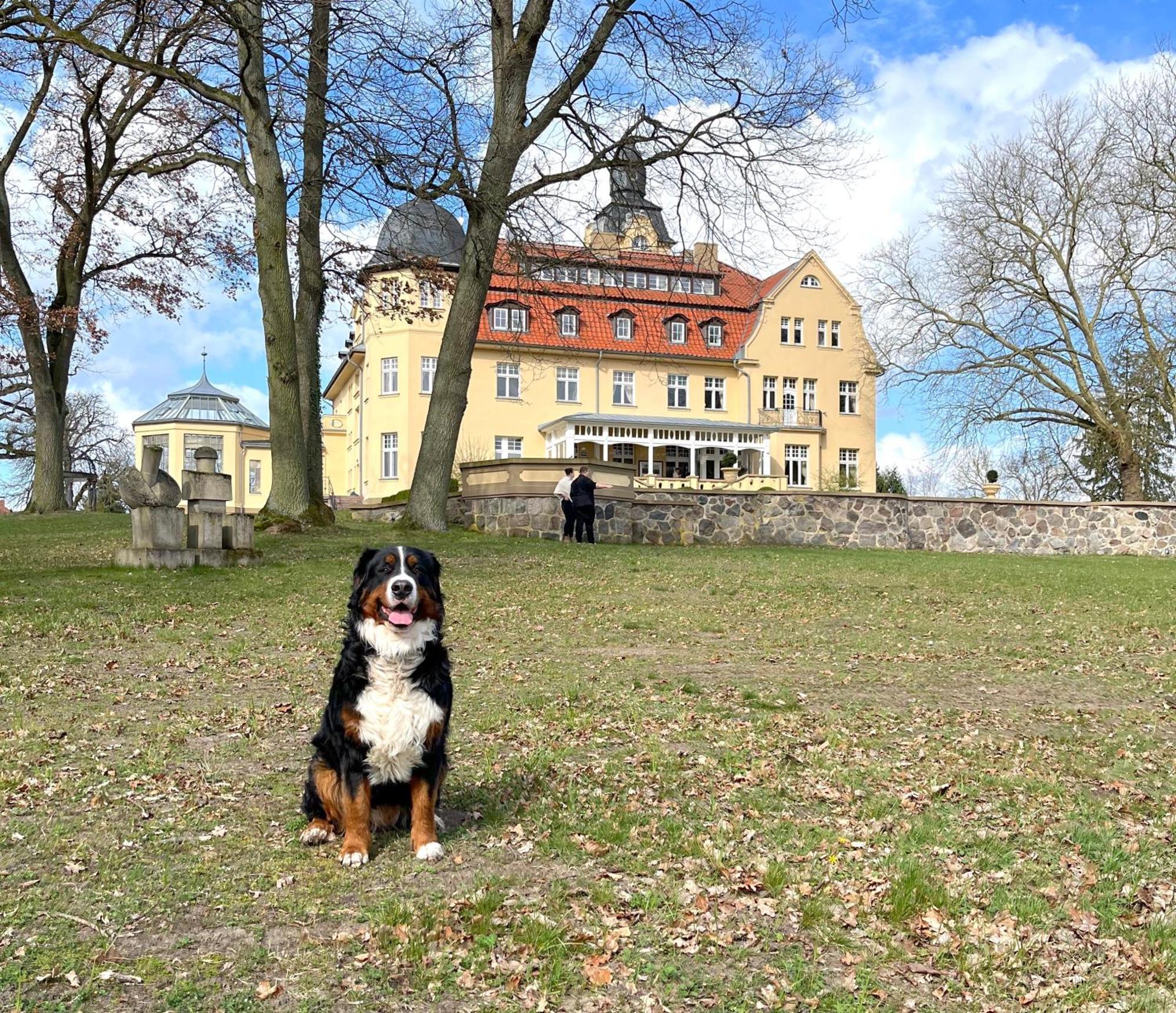 Bernsteinschloss Wendorf  Exterior foto